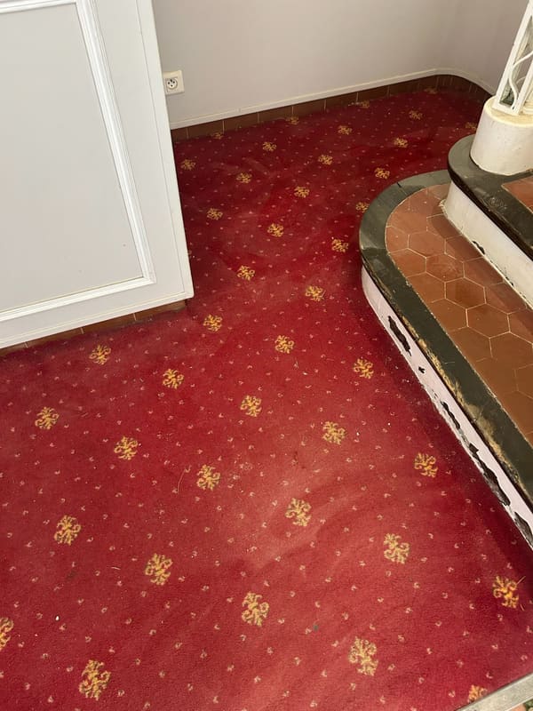 La même moquette de l'hôtel Le Mas du Langoustier avant nettoyage : couleur ternie et traces de passage